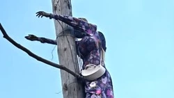 Врезавшаяся в столб Баба Яга обнаружена на улице Белгорода
