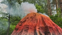 Первый в области «живой» вулкан появился в динопарке Белгорода