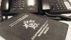 Жителю Анапы грозит пожизненное за госизмену, терроризм и попытку диверсии в Белгородской области
