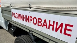 Сапёры разминировали ещё 130 га земли в Белгородской области