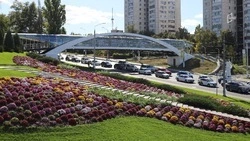 Капремонт путепровода на Ватутина в Белгороде обойдётся в 745 млн рублей