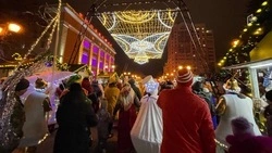 12 дней новогодних каникул: Минтруд рассказал, как белгородцы будут отдыхать в 2026 году 