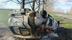 Украинские беспилотники атаковали 18 населённых пунктов Белгородской области за сутки