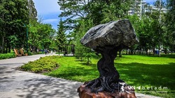 Двухметровая скульптура «Шишка» появится в Центральном парке Белгорода