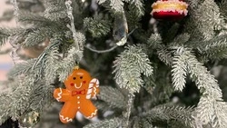 Выставки и мастер-класс: какие мероприятия подготовили к Старому Новому году в Белгороде?