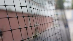Вячеслав Гладков: «56 детсадов Белгорода закроют антидроновой сеткой»