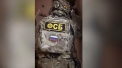 Готовившую теракт по заданию ВСУ белгородку задержали в Воронеже 
