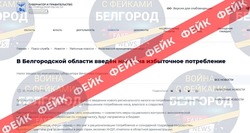 Фейк: налог на избыточное потребление введён в Белгородской области 