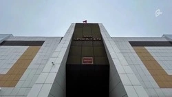 Свыше 80 млн рублей выплатит страховщик пострадавшей от атак ВСУ белгородской компании