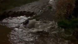 В Старом Осколе 17 ноября отключат воду в пяти микрорайонах из-за порыва