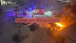 Несколько автомобилей загорелись во дворе на Харгоре в Белгороде