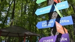 Отдых белгородских детей в Крыму в этом сезоне отменён