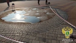 Чиновники и электромонтёр предстанут перед судом из-за гибели 13-летней девочки в фонтане Томаровки