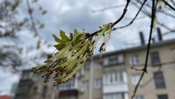 Кратковременные дожди и облачность ожидают белгородцев в субботу 