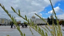 Тёплая погода с кратковременными дождями и грозами ожидает белгородцев в выходные   