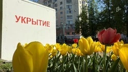 В резервный фонд правительства Белгородской области направят 100 млн рублей на закупку допукрытий