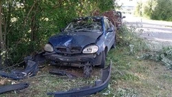 ВСУ выпустили по Белгородской области 160 беспилотников и боеприпасов за сутки 