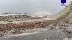 Вода в Белгородском водохранилище опустилась на полтора метра после удара ВСУ по дамбе