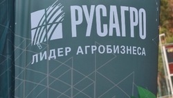 Стали известны итоги финансового года белгородских предприятий холдинга «Русагро»