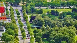Для озеленения Белгорода закупят растения на семь миллионов рублей