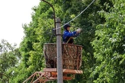 Электроснабжение в Грайворонском округе восстановлено