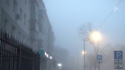 Туман и небольшие дожди опустятся на Белгородчину в выходные дни 