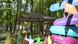 Александр Шуваев: в летних лагерях Белгородской области отдыхают более 41 тысячи детей