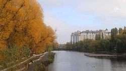 Туманная безветренная погода ожидается в Белгородской области в четверг 