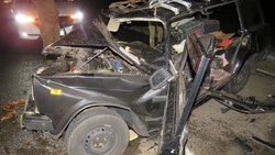 Виновный в смерти пассажира белгородец проведёт три года в колонии-поселении