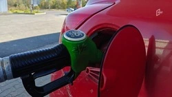 Дизель и бензин подорожали в Белгородской области за последнюю неделю 