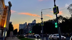 Четверо состоящих на учёте у нарколога и психиатра белгородцев лишились водительских прав