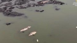 Старооскольский фермер предстанет перед судом за возведение дамбы и гибель рыбы