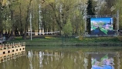 Белгородцы смогут посмотреть три фильма под открытым небом в рамках акции «Ночь кино» в субботу 