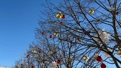 Потепление придёт в Белгородскую область во вторник