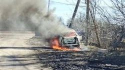 Пятеро человек ранены в белгородском приграничье 