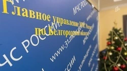 Один человек погиб при пожаре в период новогодних праздников в Белгородской области