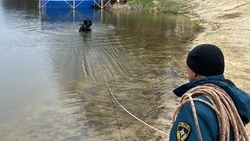 В Белгородской области началась проверка пляжей перед купальным сезоном