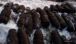 297 боеприпасов времён ВОВ обнаружены в лесу Старооскольского округа