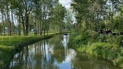 В Белгородской области родителей девяти детей оштрафовали за нахождение несовершеннолетних у воды 