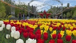 Тёплая погода и небольшие дожди ожидаются в Белгородской области в четверг
