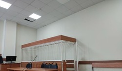 Главный лесничий в Белгородской области предстанет перед судом за разрешение вырубки дуба за взятку
