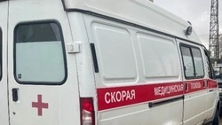 Пятеро белгородцев удостоены поощрений и благодарностей президента России