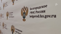 ФАС выявила нарушения в госзакупках на выполнение дорожных работ в Белгородской области