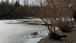 Снег с дождëм и плюсовая температура ожидаются в Белгородской области в среду