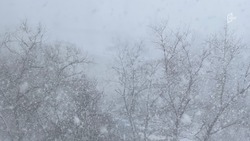 Дождь, снег и сильный ветер ожидают белгородцев в среду