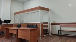 До 20 лет тюрьмы грозит белгородцу за публичные призывы к смене власти в России 