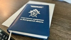 Главврач Алексеевской ЦРБ обвиняется в хищении бюджетных средств на сумму более 770 тысяч рублей 