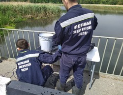Белоблводоканал снова попался на сбросе нечистот в реку Разумная