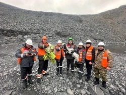 Двух упавших в карьер лебедей спасли в Белгородской области 