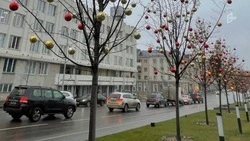 Дождь, туман и гололёд ожидают белгородцев в среду 